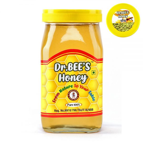 Dr. Bee - Kashmir Solai Honey 1kg