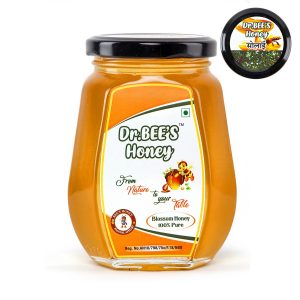 Dr. Bee - Kashmir Solai Honey 500gm